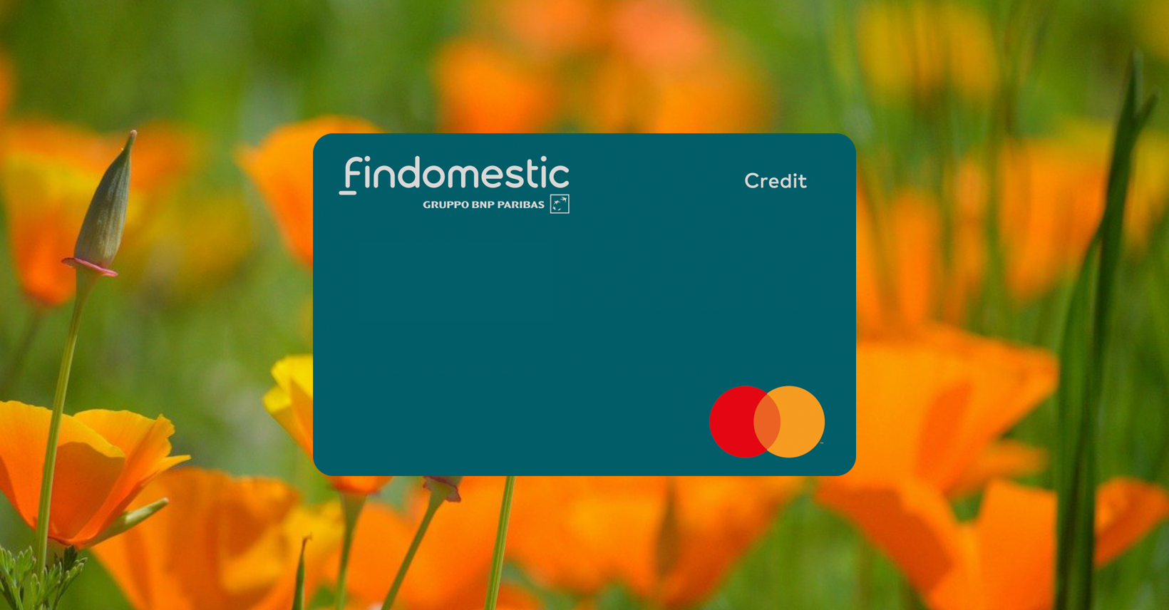 Come Richiedere la Carta di Credito Findomestic Guida Completa 2023